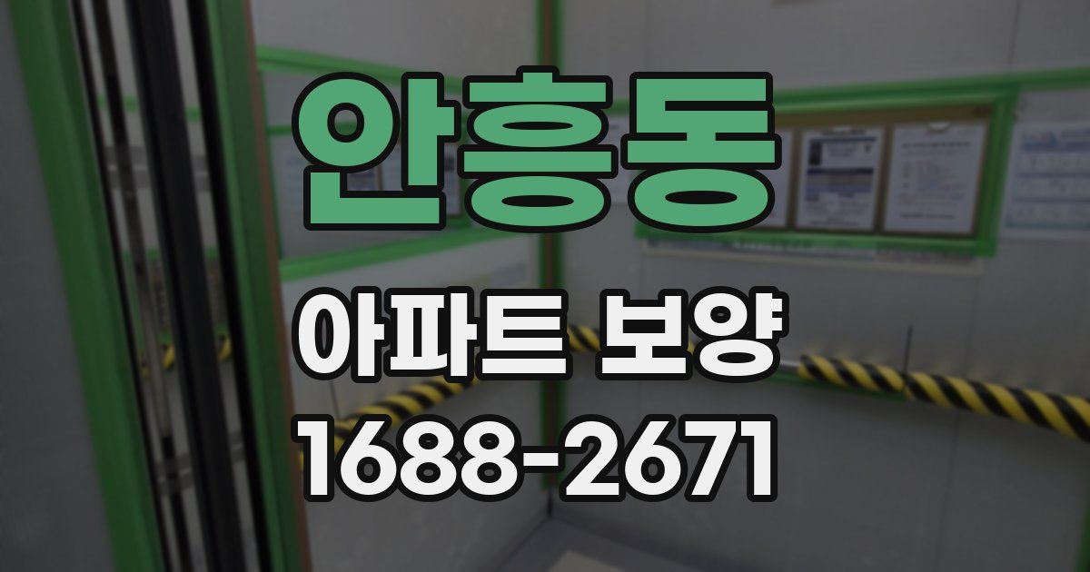 안흥동 아파트 보양