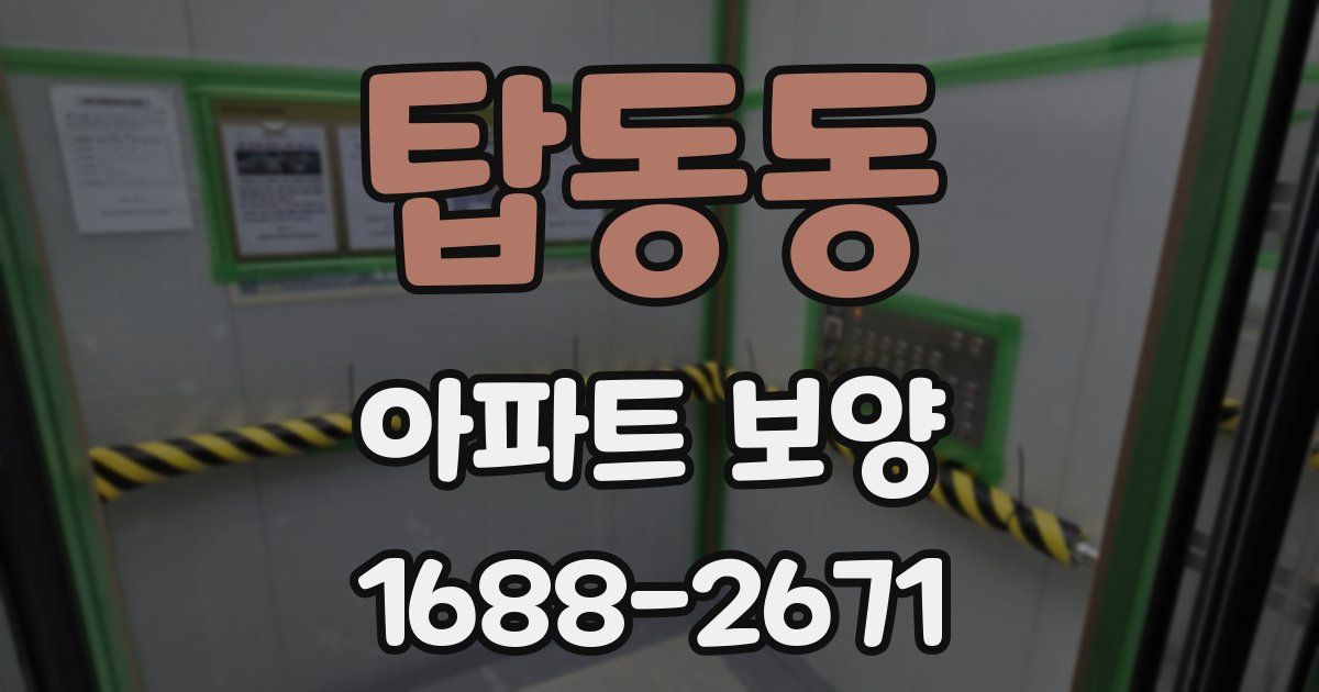 탑동동 아파트 보양