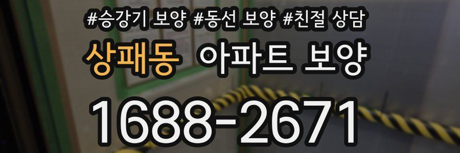 상패동 아파트 보양