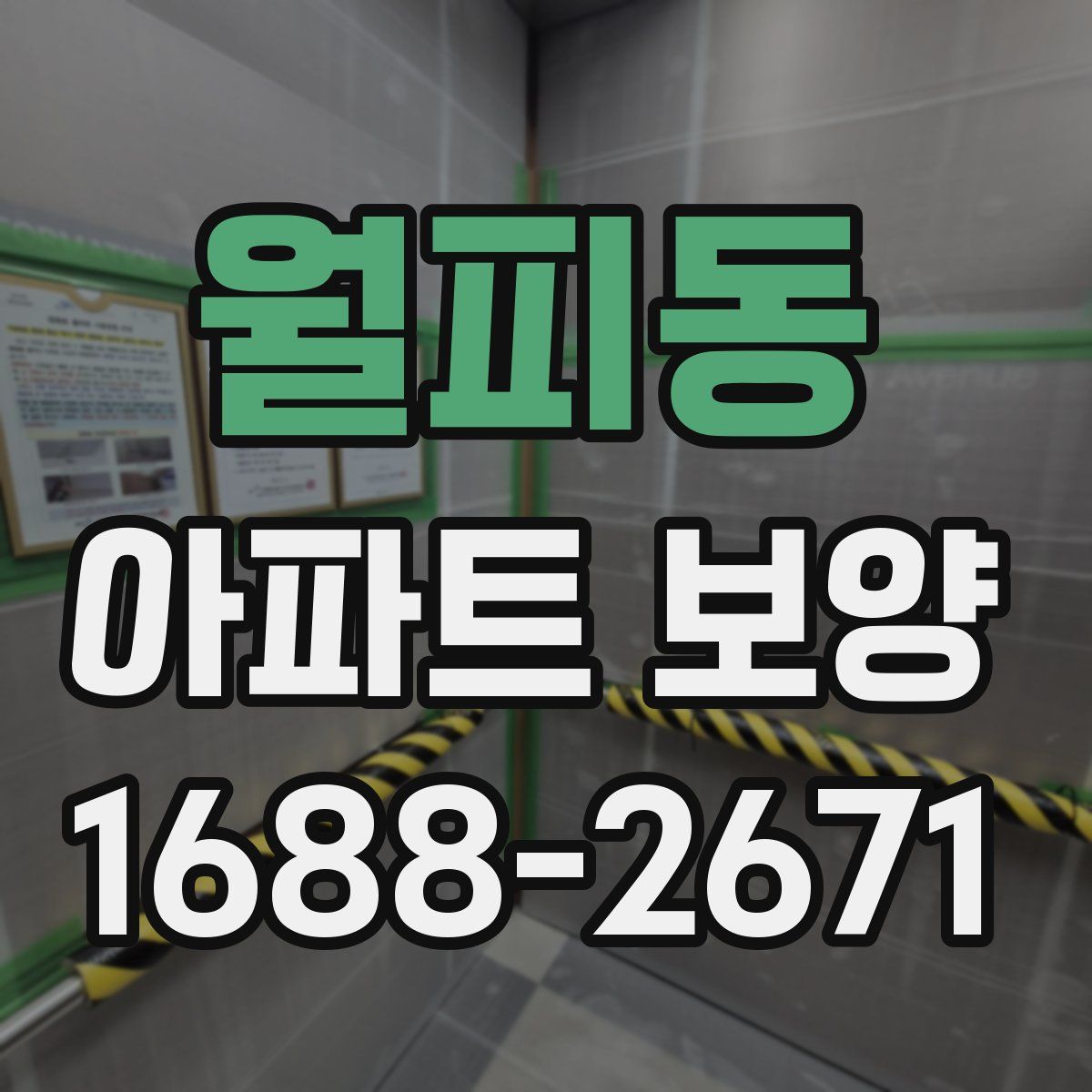 월피동 아파트 보양