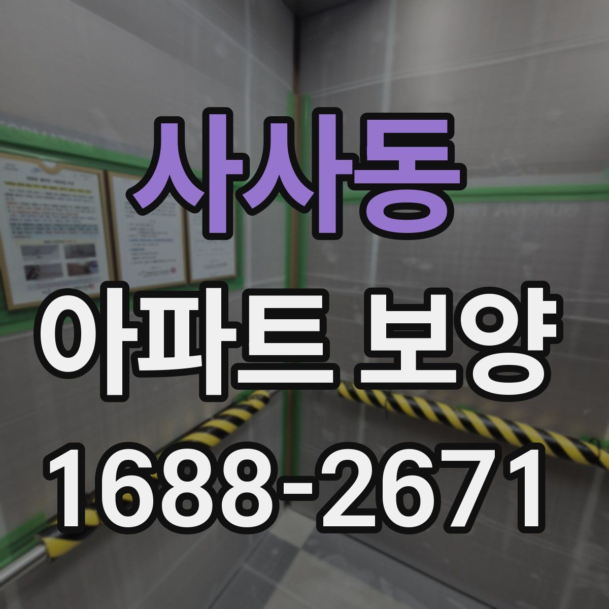 사사동 아파트 보양