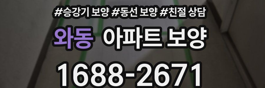 와동 아파트 보양