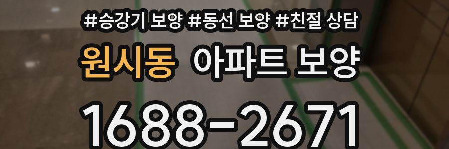 원시동 아파트 보양