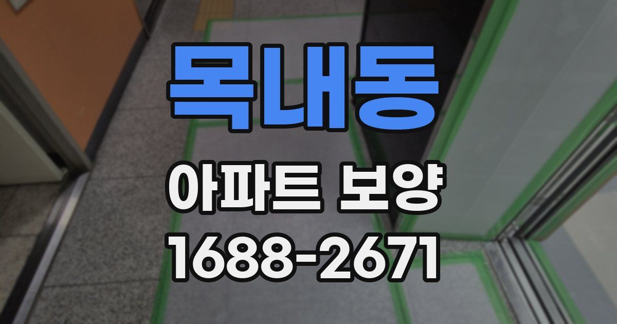 목내동 아파트 보양