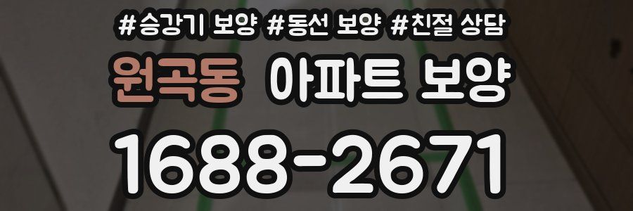원곡동 아파트 보양