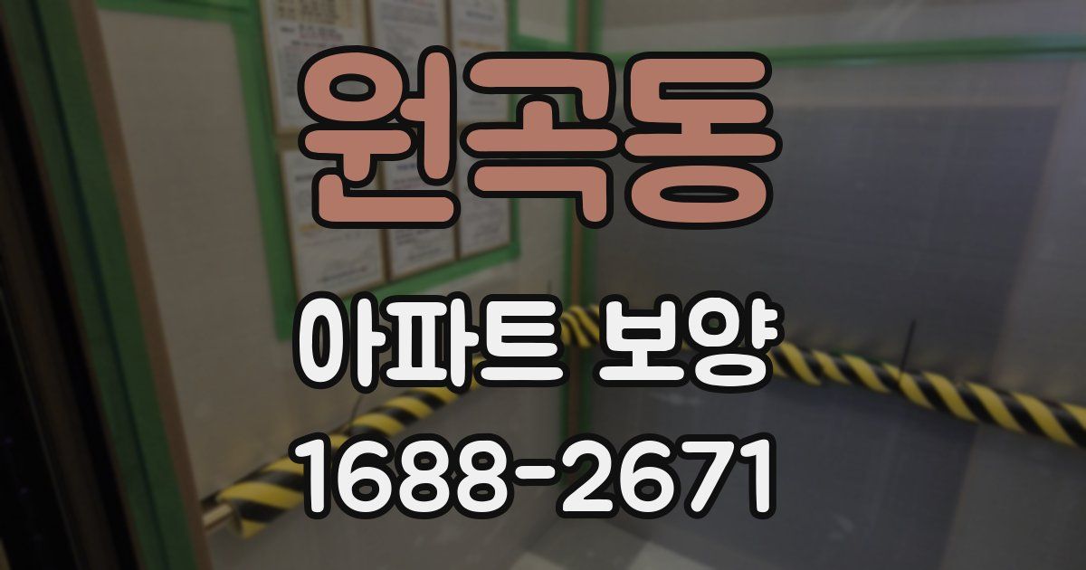 원곡동 아파트 보양