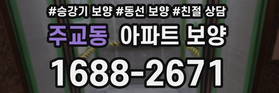 주교동 아파트 보양