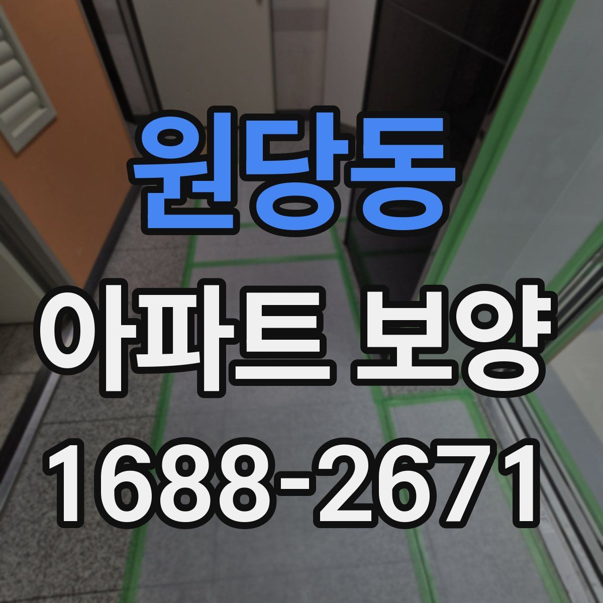 원당동 아파트 보양