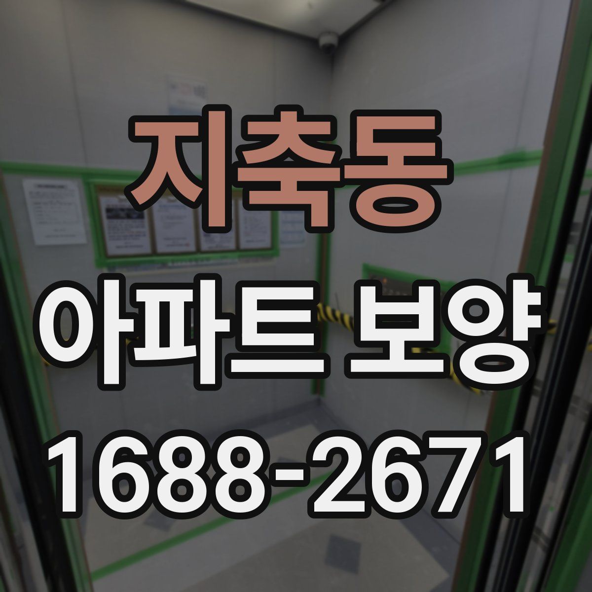 지축동 아파트 보양