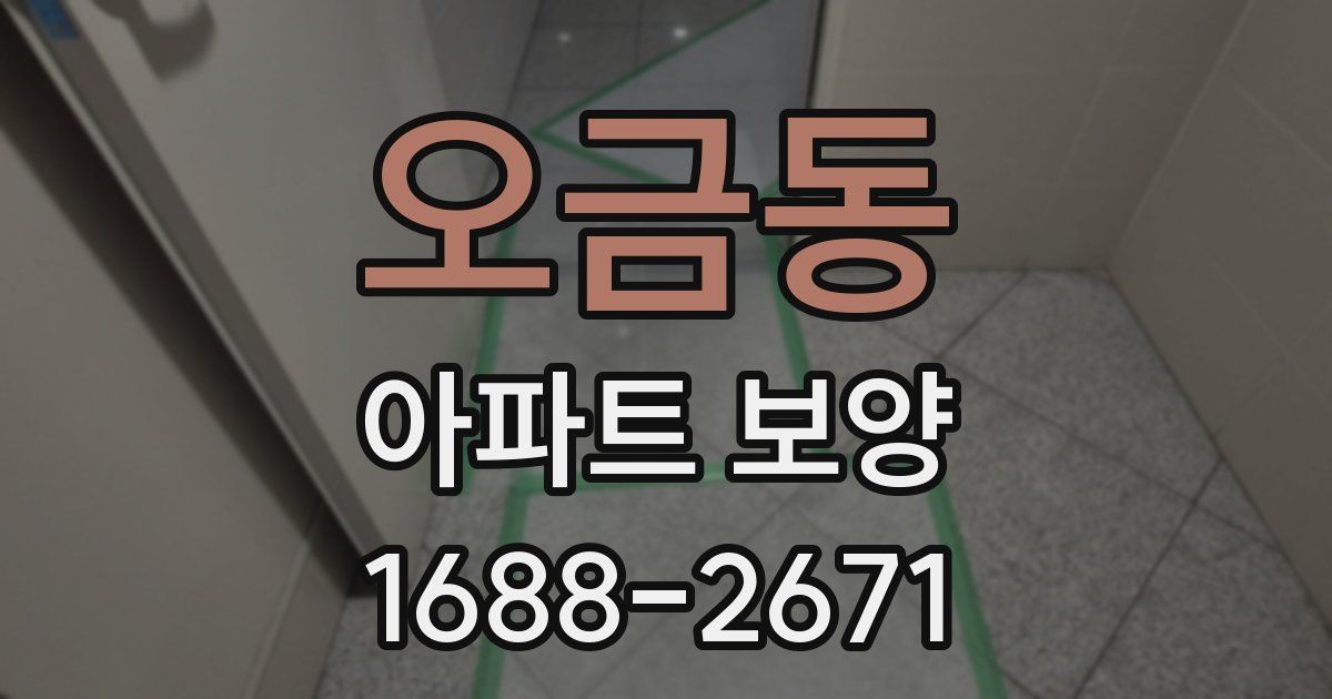 오금동 아파트 보양