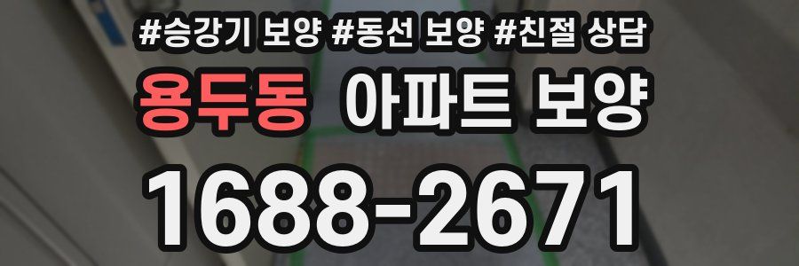 용두동 아파트 보양
