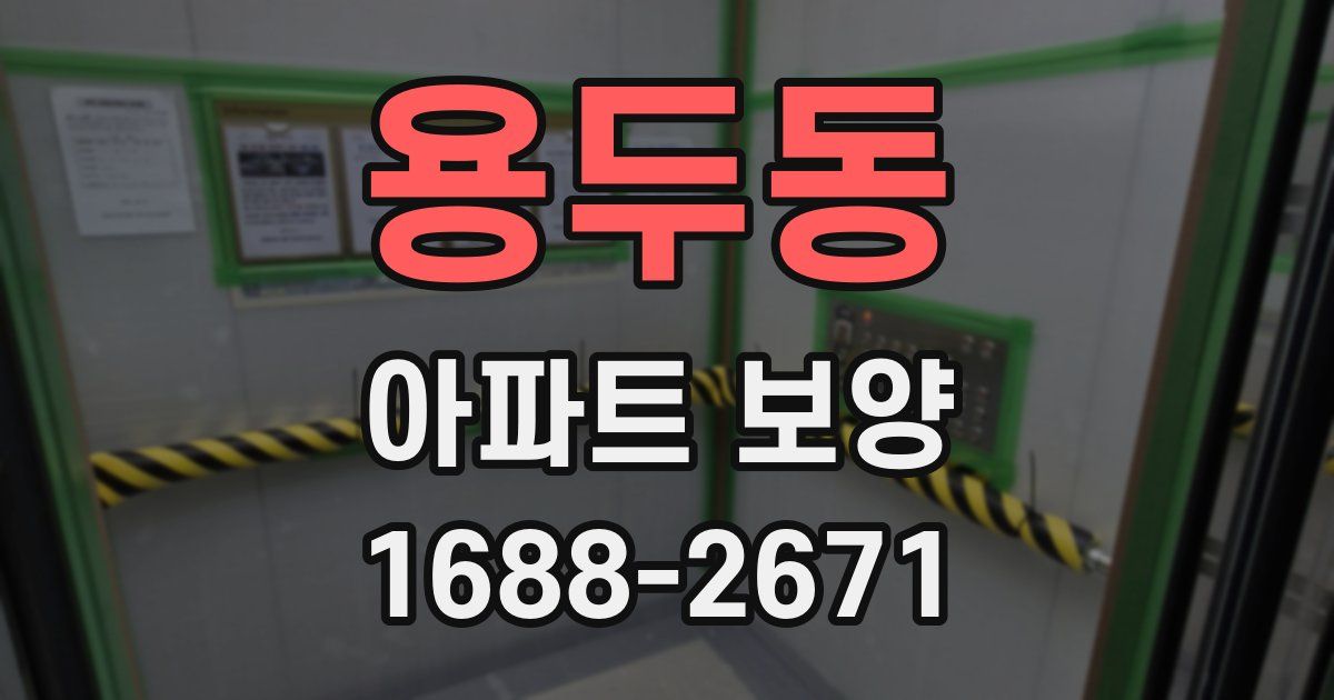 용두동 아파트 보양