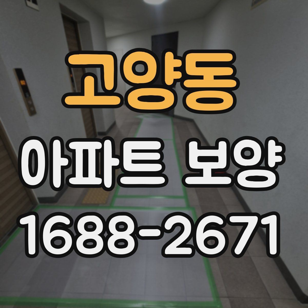 고양동 아파트 보양 과정에서 바뀌기 쉬운 변수들
