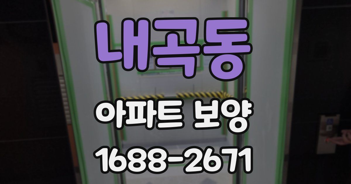 내곡동 아파트 보양