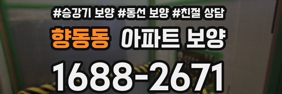 향동동 아파트 보양