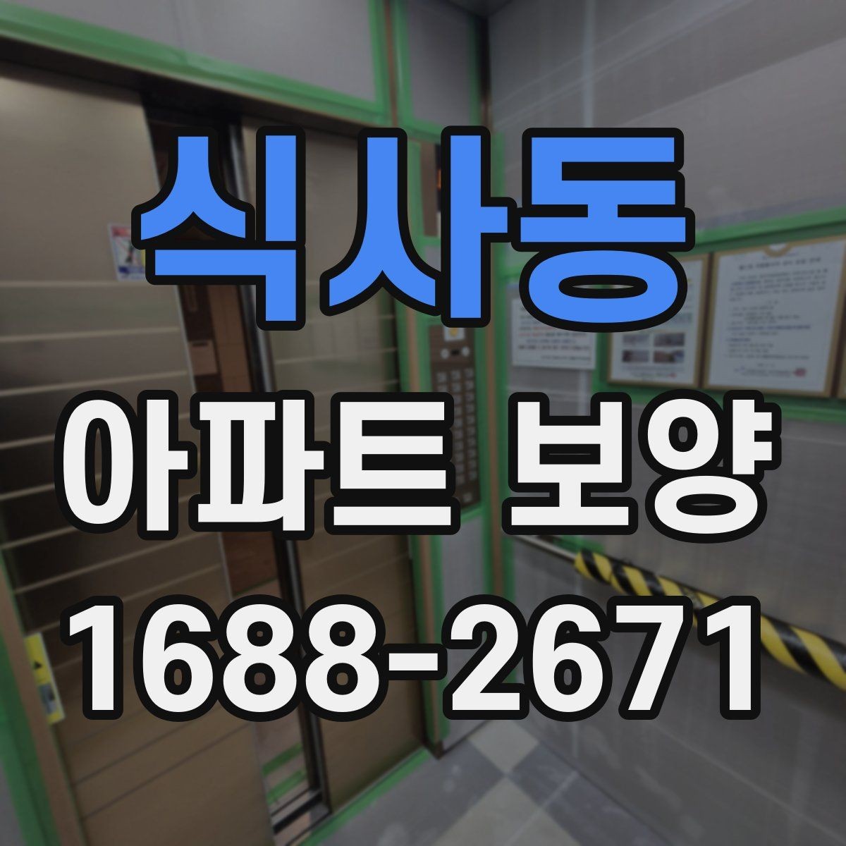 식사동 아파트 보양 시 현장별 맞춤 대응이 필요한 경우