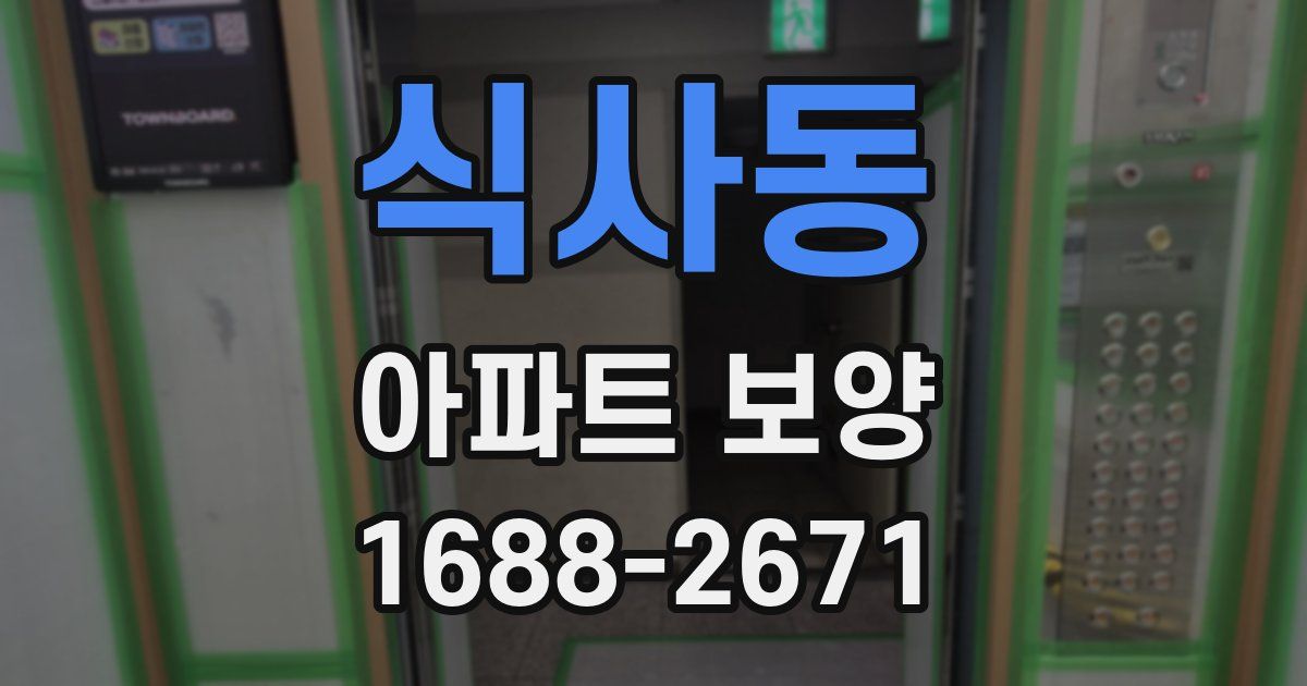 식사동 아파트 보양