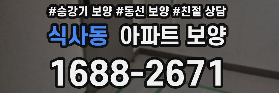 식사동 아파트 보양