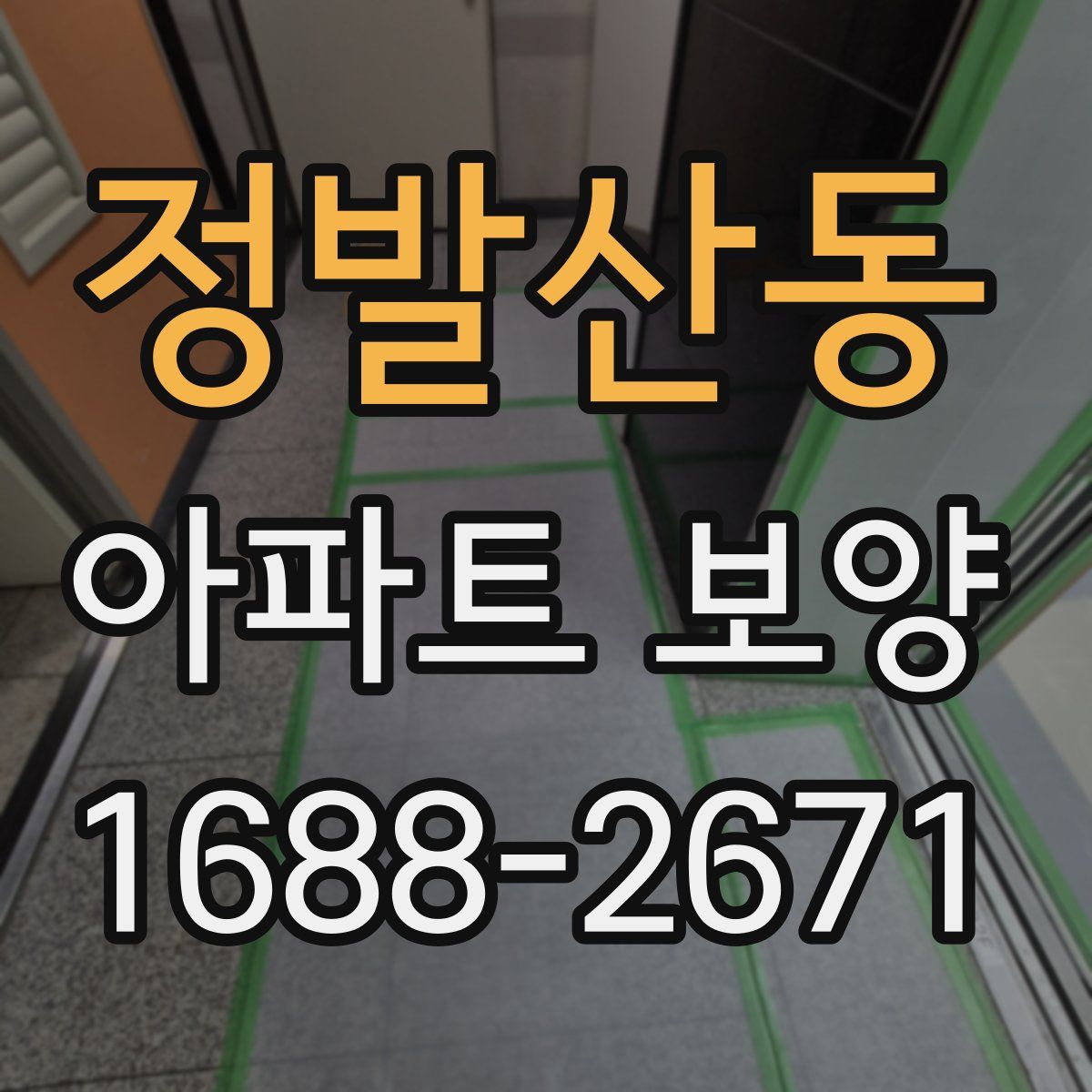 정발산동 아파트 보양