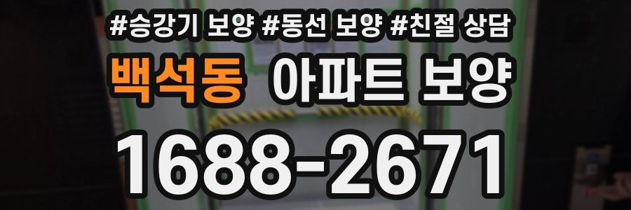 백석동 아파트 보양