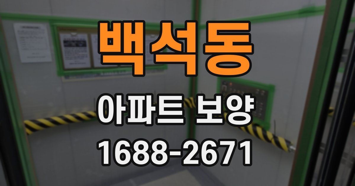 백석동 아파트 보양