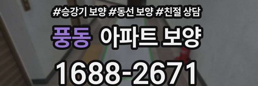 풍동 아파트 보양