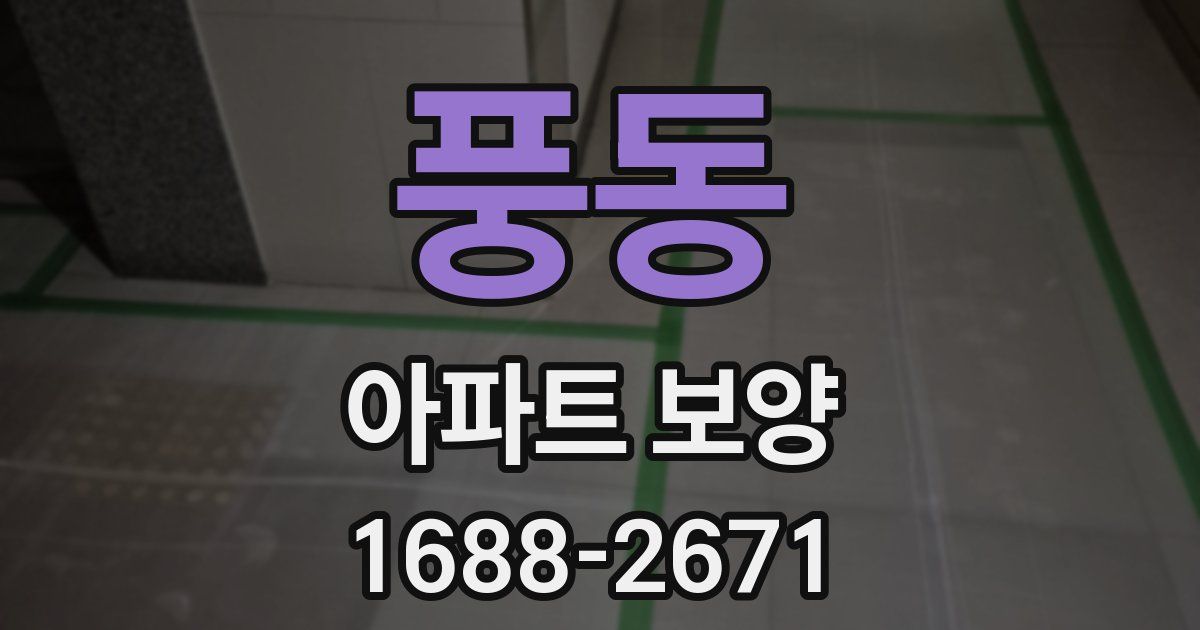 풍동 아파트 보양