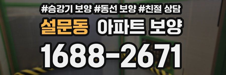 설문동 아파트 보양