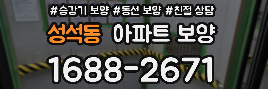 성석동 아파트 보양