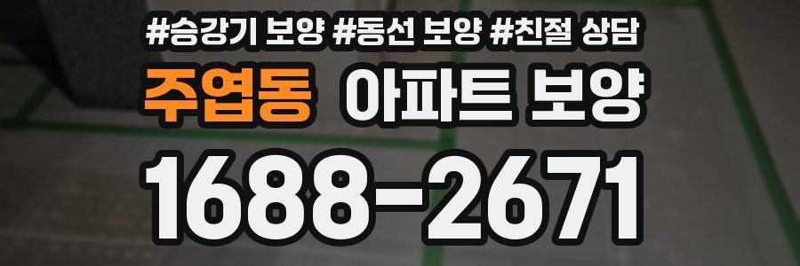 주엽동 아파트 보양