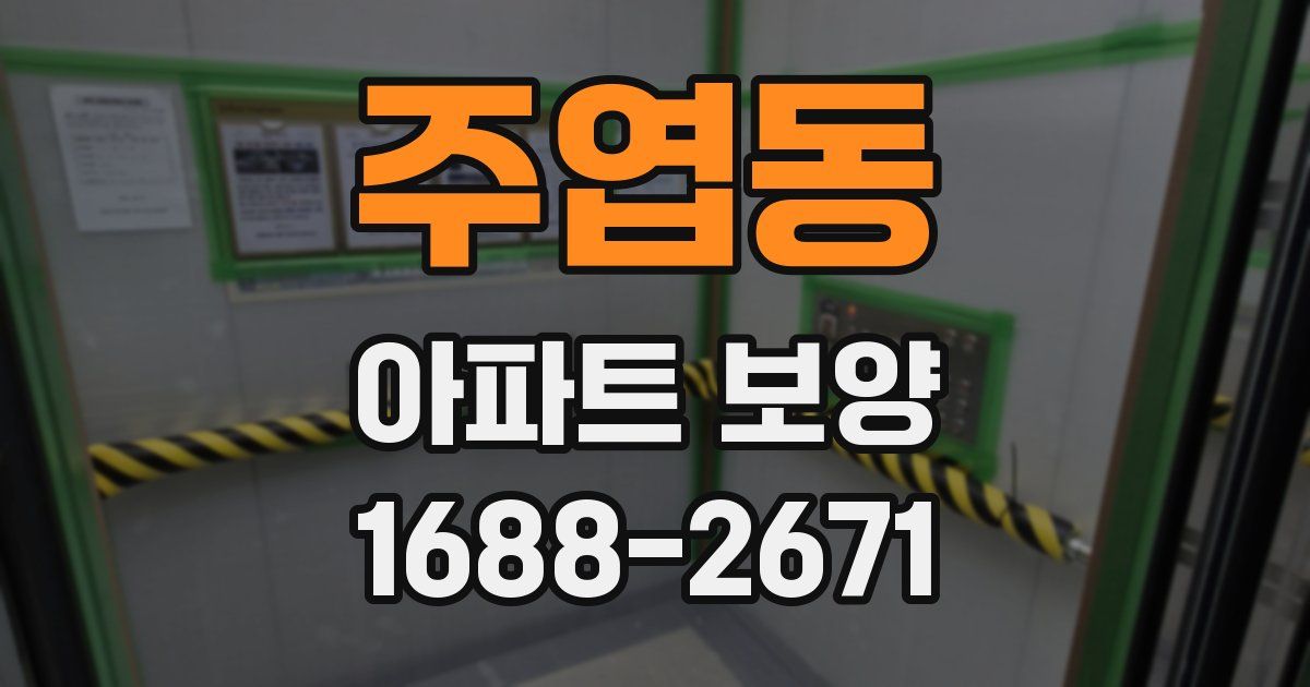 주엽동 아파트 보양