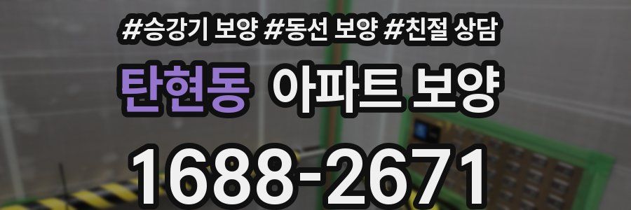 탄현동 아파트 보양
