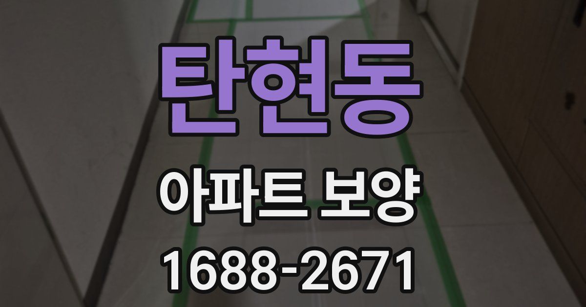 탄현동 아파트 보양