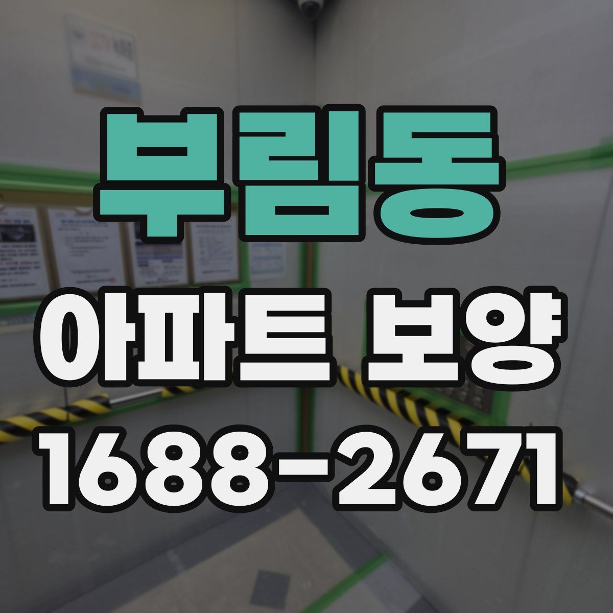 부림동 아파트 보양