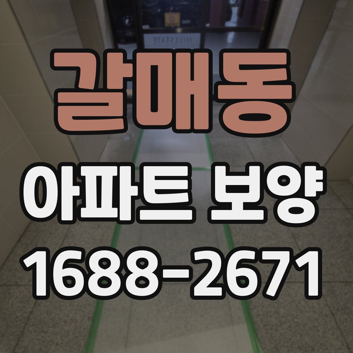 갈매동 아파트 보양