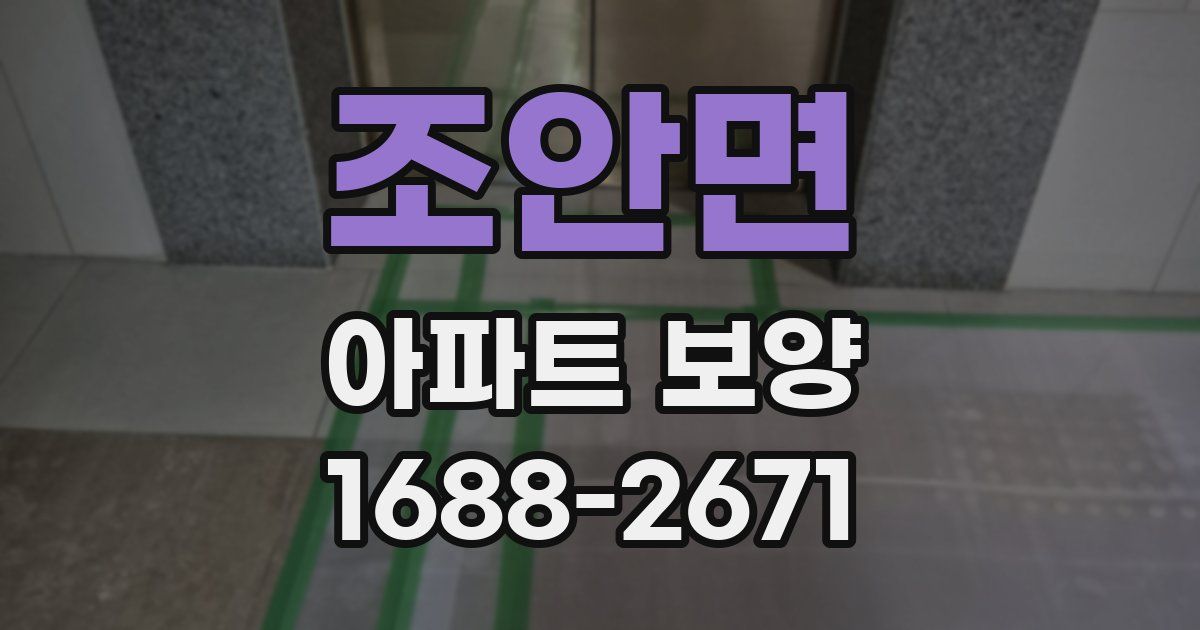 조안면 아파트 보양