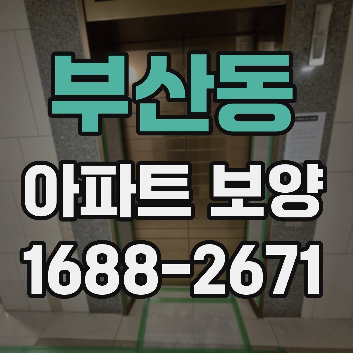 부산동 아파트 보양