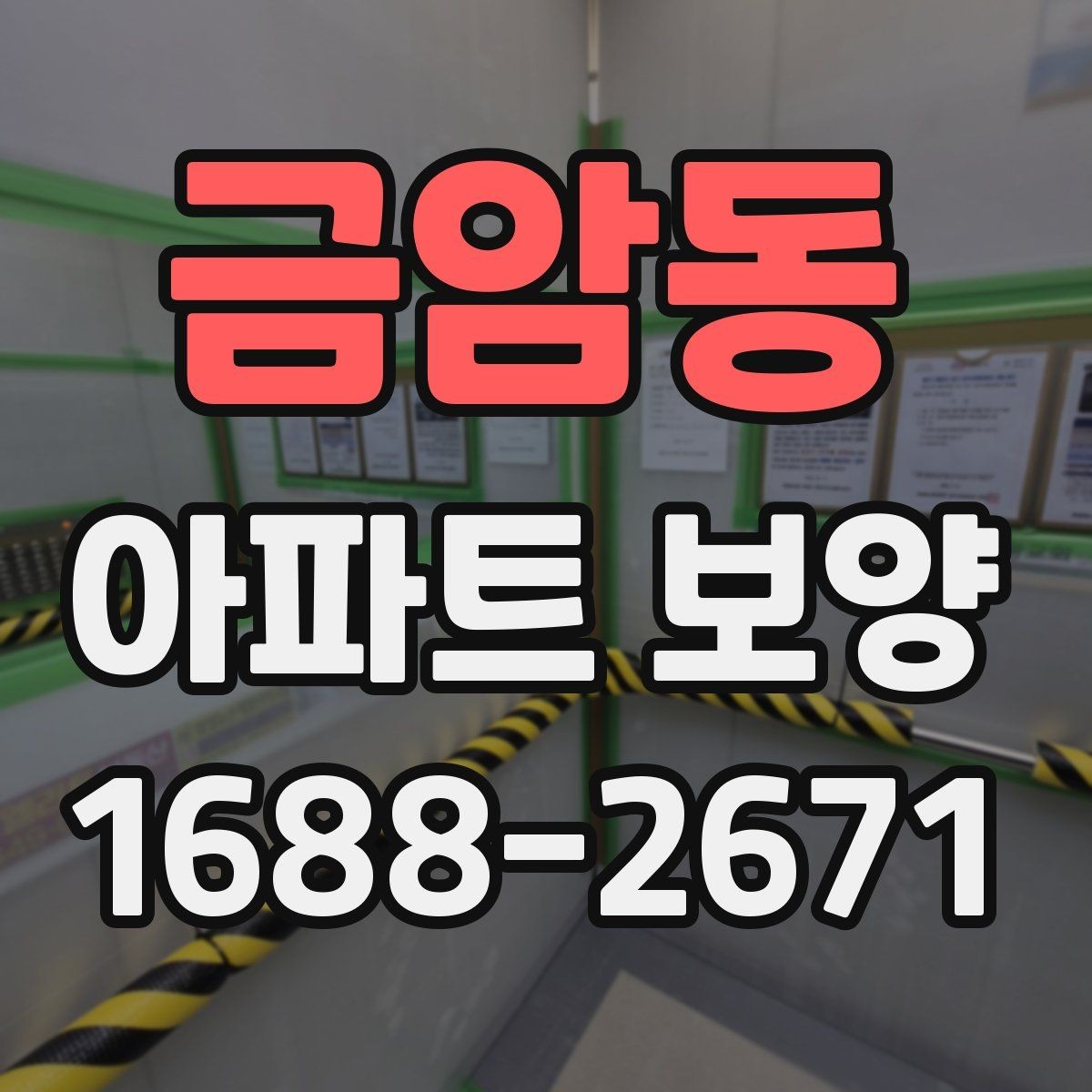 금암동 아파트 보양 상태에 따라 달라지는 대응