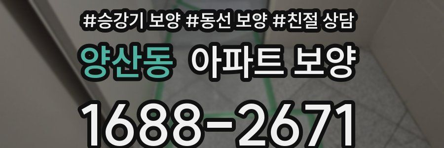 양산동 아파트 보양