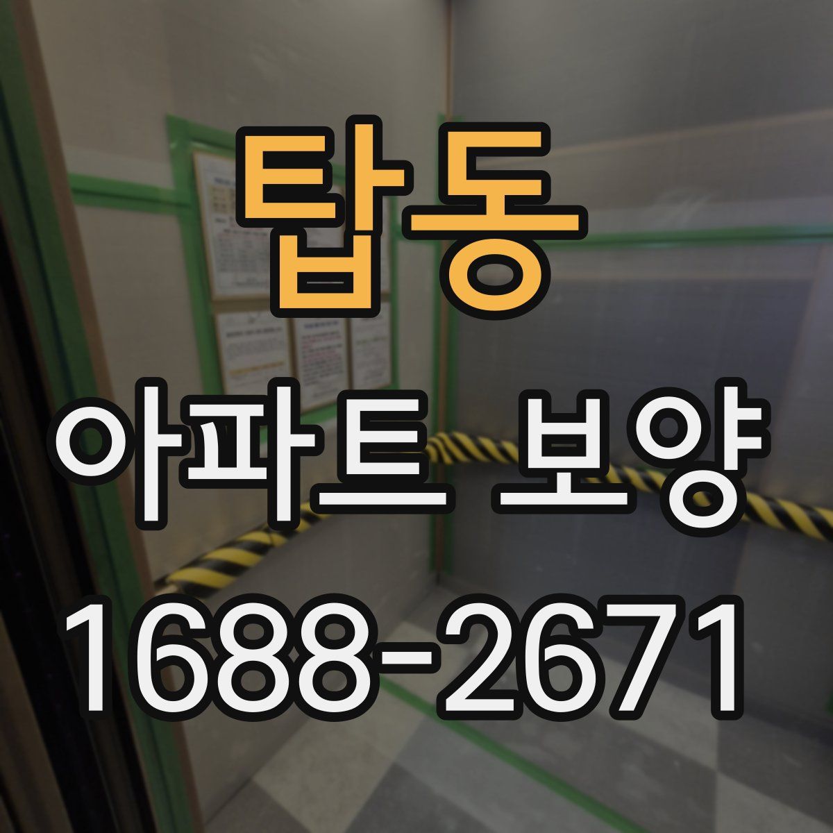 탑동 아파트 보양