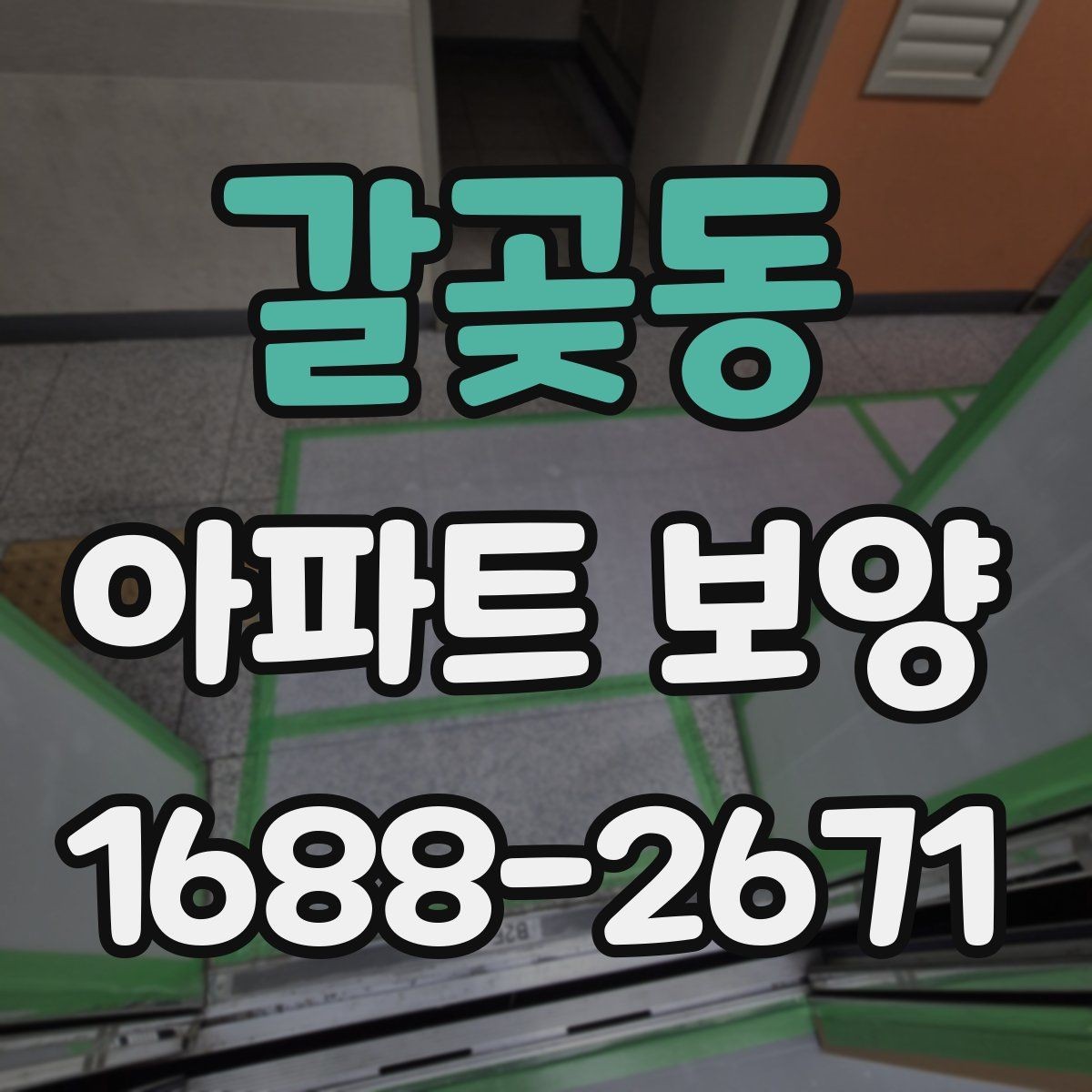 갈곶동 아파트 보양 시 보호 범위를 정하는 방법