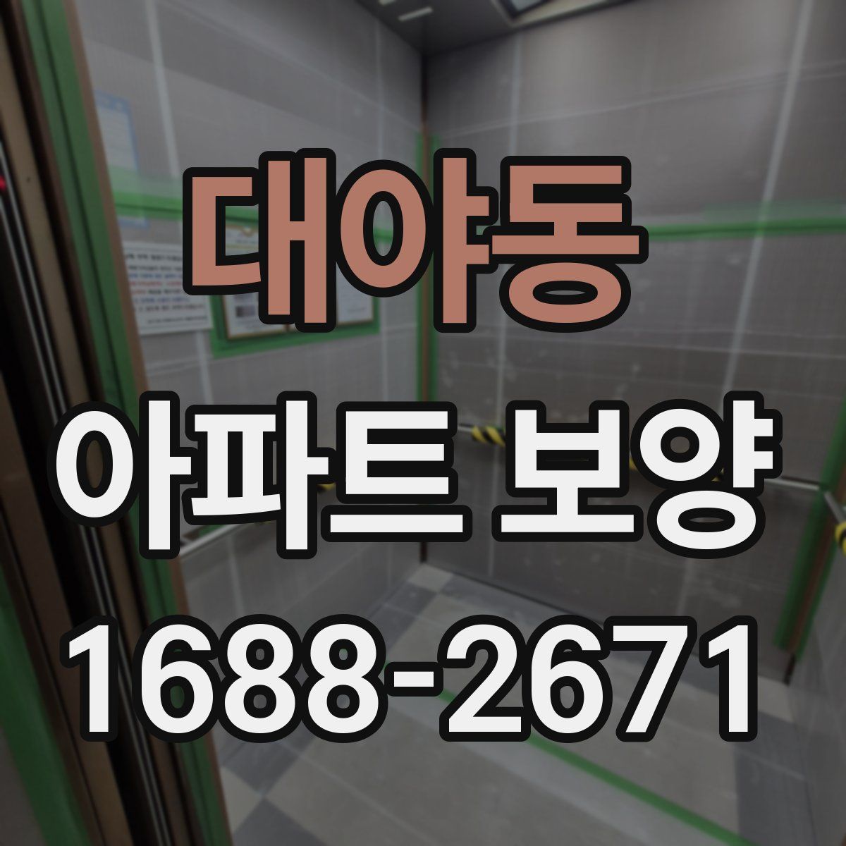 대야동 아파트 보양