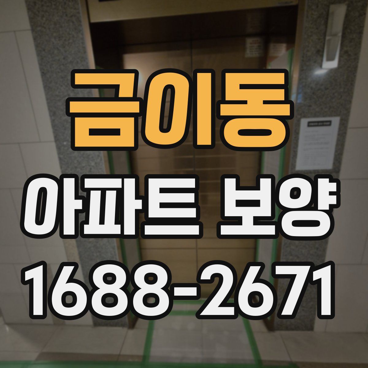 금이동 아파트 보양