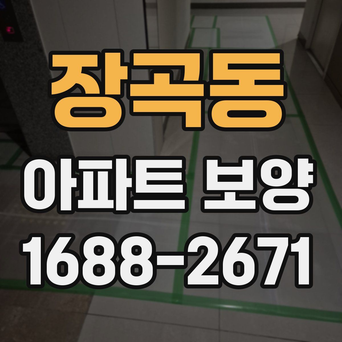 장곡동 아파트 보양