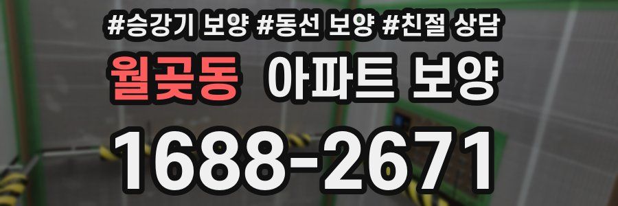 월곶동 아파트 보양