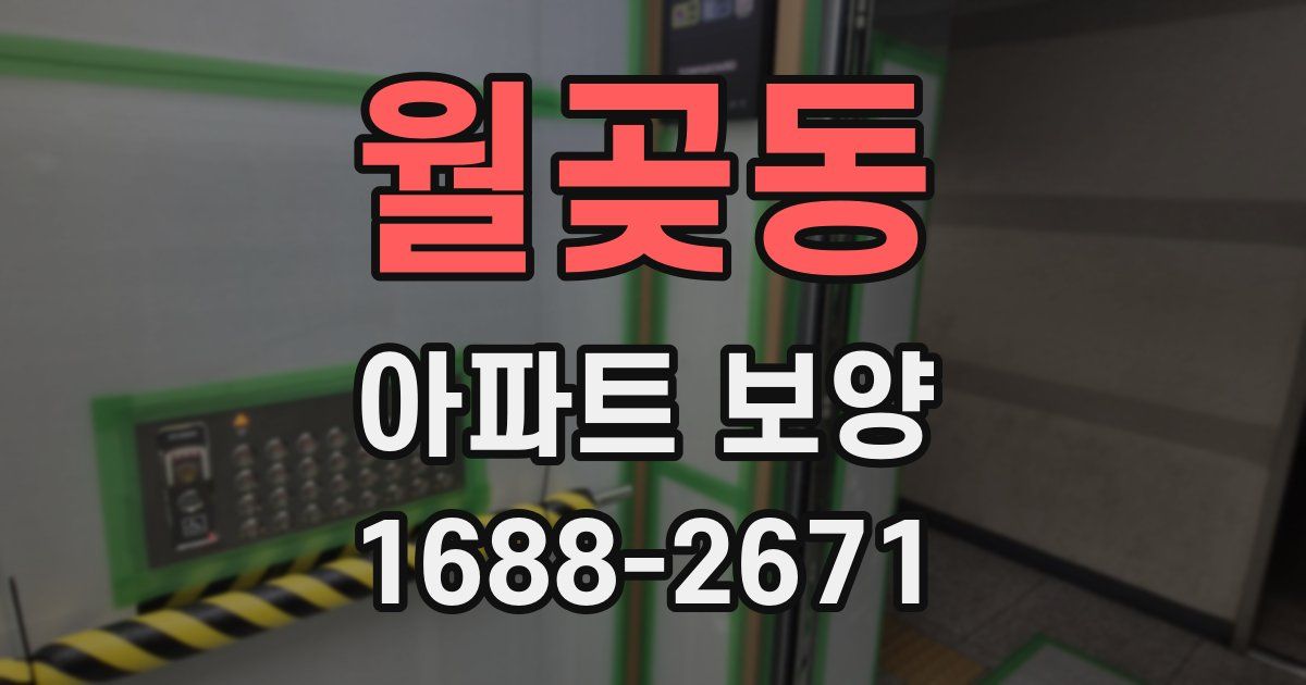 월곶동 아파트 보양