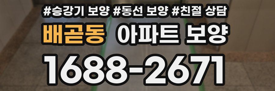 배곧동 아파트 보양