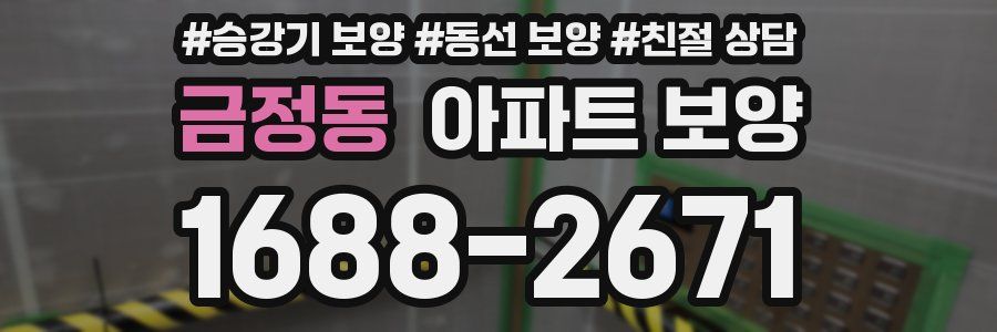 금정동 아파트 보양
