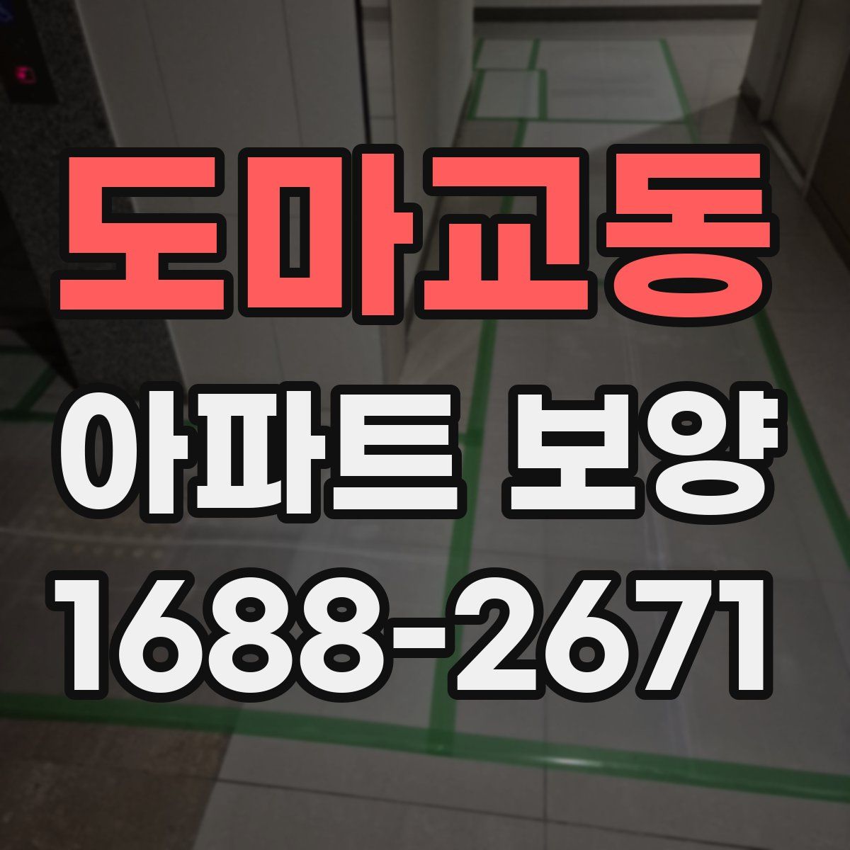 도마교동 아파트 보양