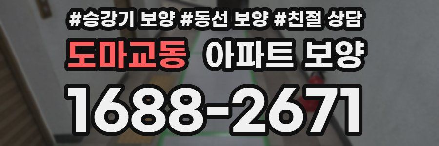 도마교동 아파트 보양